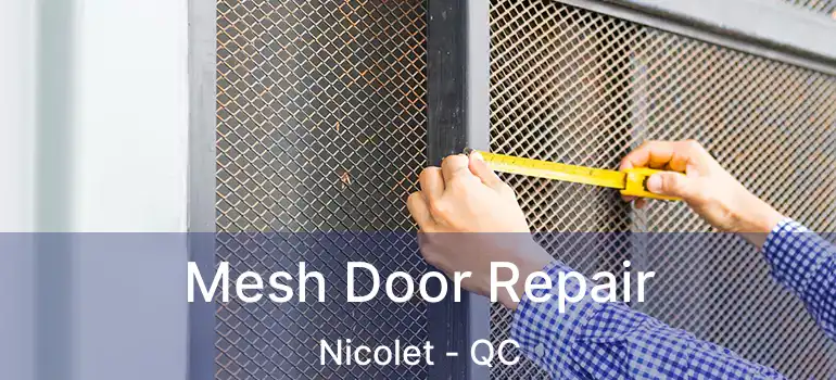  Mesh Door Repair Nicolet - QC