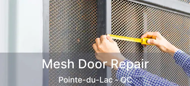  Mesh Door Repair Pointe-du-Lac - QC