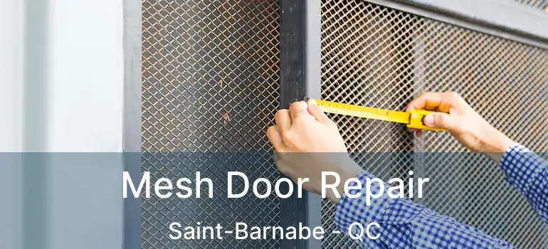  Mesh Door Repair Saint-Barnabe - QC