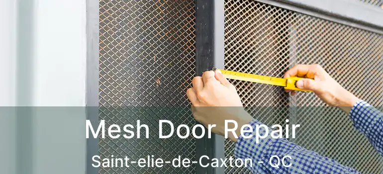  Mesh Door Repair Saint-elie-de-Caxton - QC