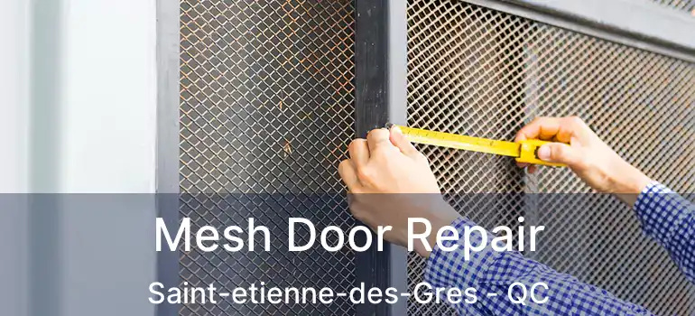  Mesh Door Repair Saint-etienne-des-Gres - QC