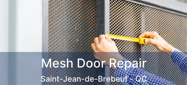  Mesh Door Repair Saint-Jean-de-Brebeuf - QC