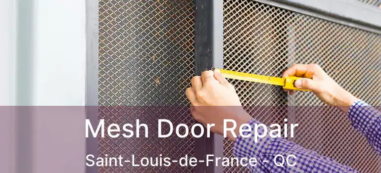  Mesh Door Repair Saint-Louis-de-France - QC