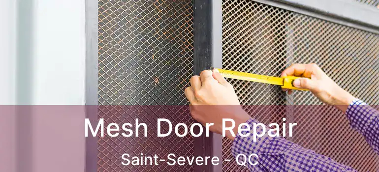  Mesh Door Repair Saint-Severe - QC