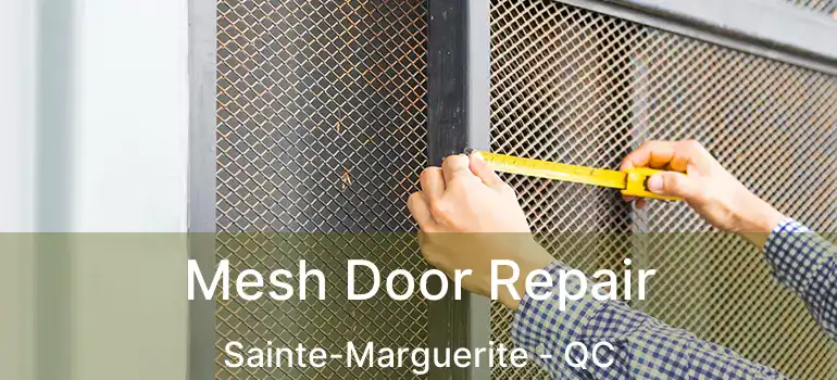  Mesh Door Repair Sainte-Marguerite - QC