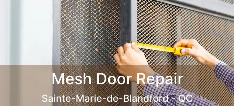  Mesh Door Repair Sainte-Marie-de-Blandford - QC