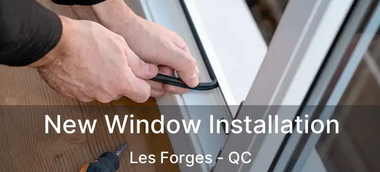  New Window Installation Les Forges - QC