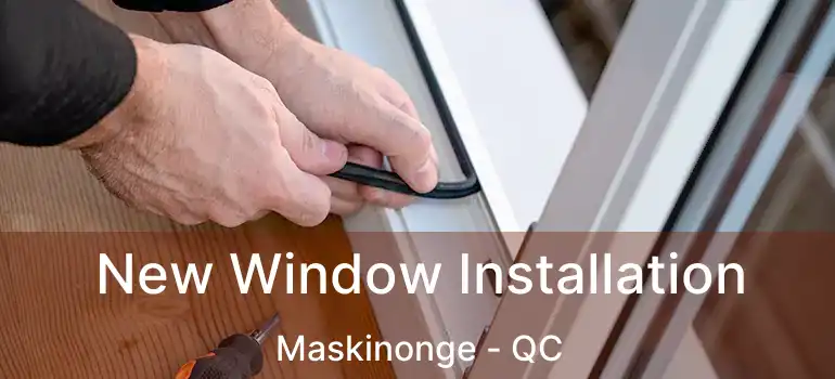  New Window Installation Maskinonge - QC