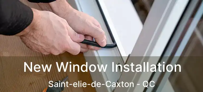  New Window Installation Saint-elie-de-Caxton - QC