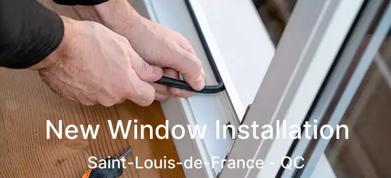  New Window Installation Saint-Louis-de-France - QC