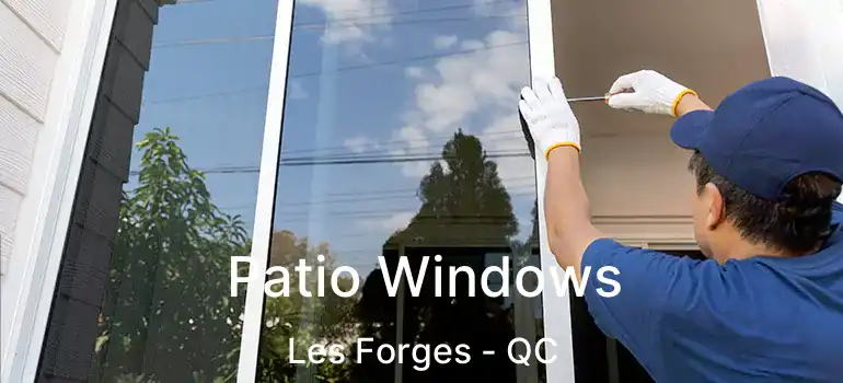  Patio Windows Les Forges - QC