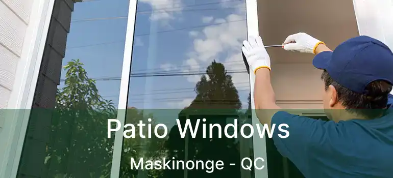  Patio Windows Maskinonge - QC