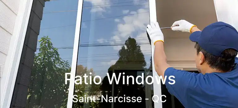  Patio Windows Saint-Narcisse - QC
