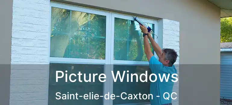  Picture Windows Saint-elie-de-Caxton - QC