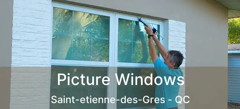 Picture Windows Saint-etienne-des-Gres - QC