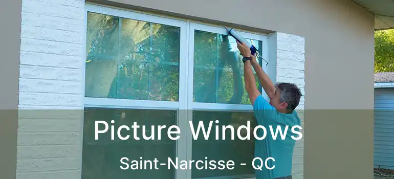  Picture Windows Saint-Narcisse - QC