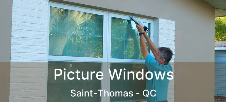  Picture Windows Saint-Thomas - QC