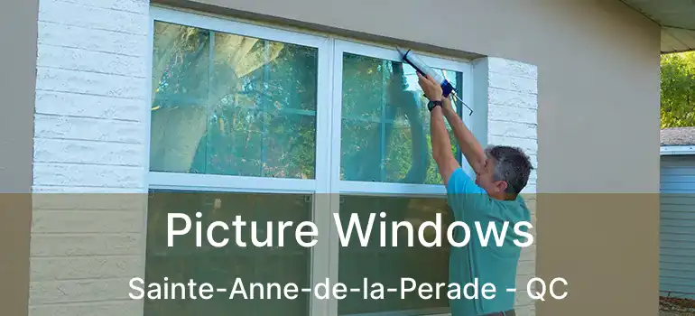  Picture Windows Sainte-Anne-de-la-Perade - QC