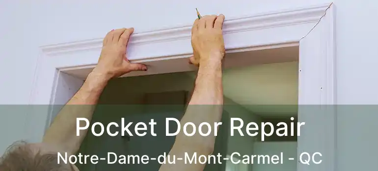  Pocket Door Repair Notre-Dame-du-Mont-Carmel - QC