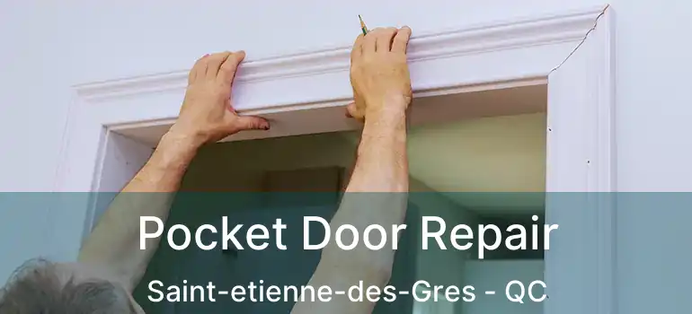  Pocket Door Repair Saint-etienne-des-Gres - QC