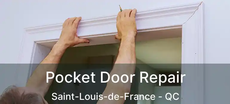  Pocket Door Repair Saint-Louis-de-France - QC