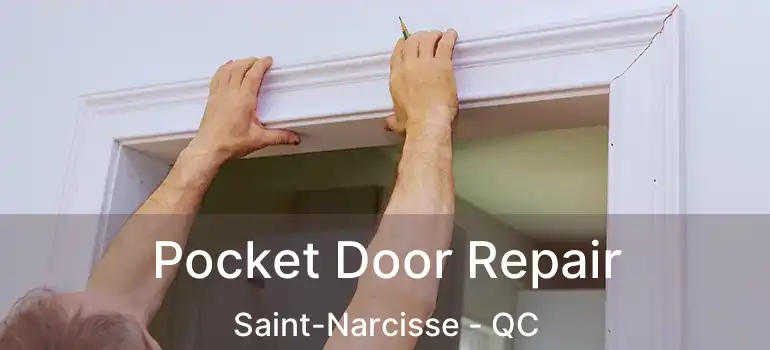  Pocket Door Repair Saint-Narcisse - QC