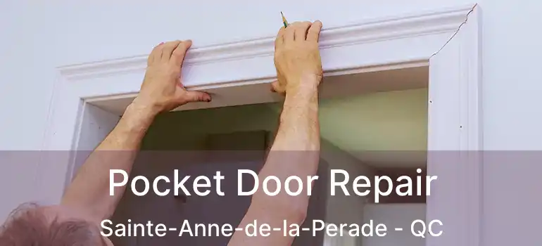  Pocket Door Repair Sainte-Anne-de-la-Perade - QC