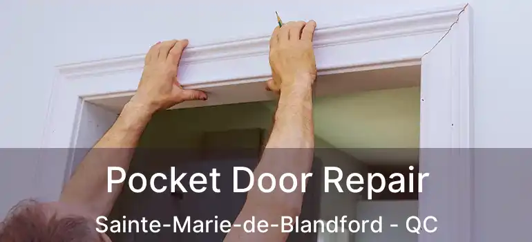  Pocket Door Repair Sainte-Marie-de-Blandford - QC