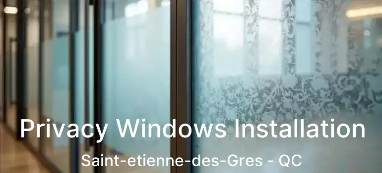  Privacy Windows Installation Saint-etienne-des-Gres - QC