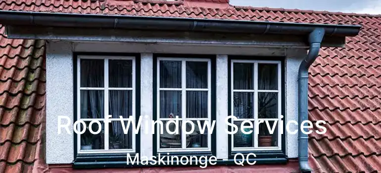  Roof Window Services Maskinonge - QC