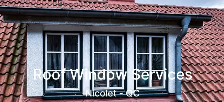  Roof Window Services Nicolet - QC