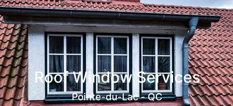  Roof Window Services Pointe-du-Lac - QC