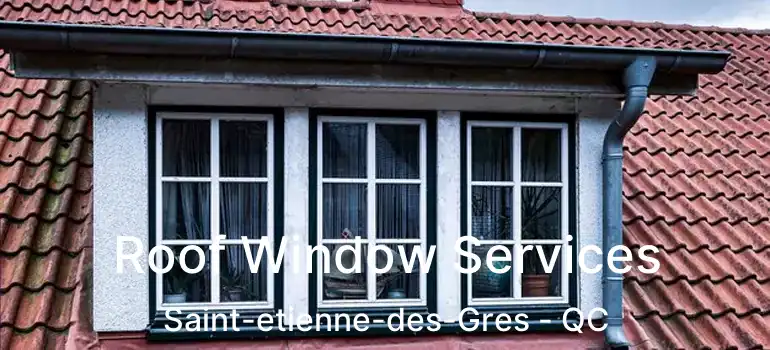  Roof Window Services Saint-etienne-des-Gres - QC