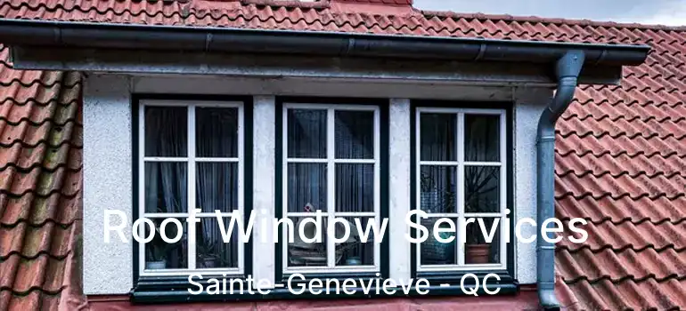  Roof Window Services Sainte-Genevieve - QC