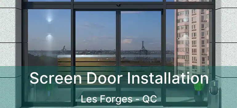  Screen Door Installation Les Forges - QC