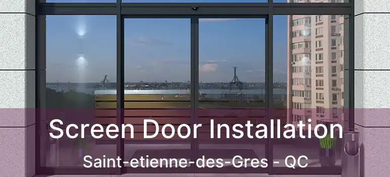  Screen Door Installation Saint-etienne-des-Gres - QC