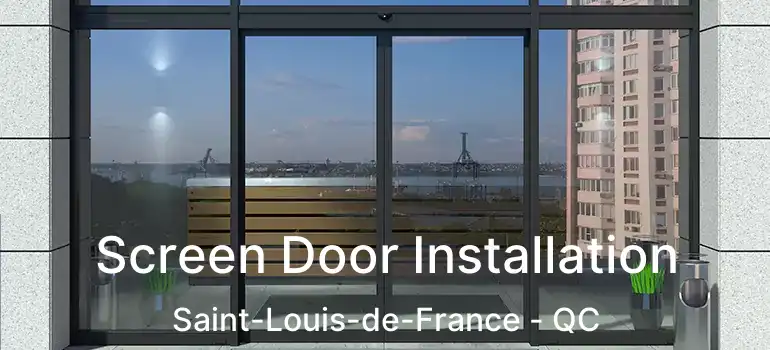  Screen Door Installation Saint-Louis-de-France - QC