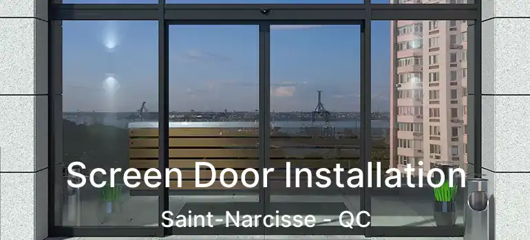  Screen Door Installation Saint-Narcisse - QC