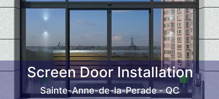  Screen Door Installation Sainte-Anne-de-la-Perade - QC