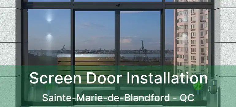  Screen Door Installation Sainte-Marie-de-Blandford - QC
