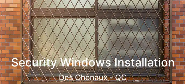  Security Windows Installation Des Chenaux - QC