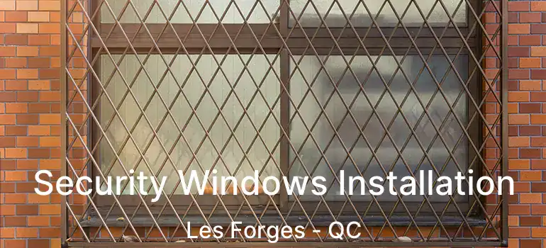  Security Windows Installation Les Forges - QC