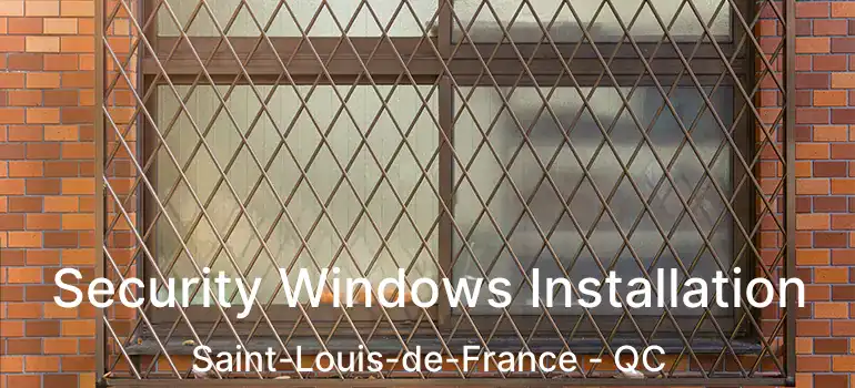  Security Windows Installation Saint-Louis-de-France - QC