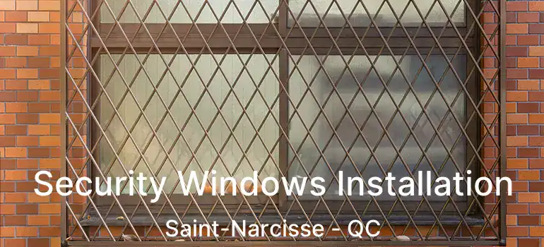  Security Windows Installation Saint-Narcisse - QC