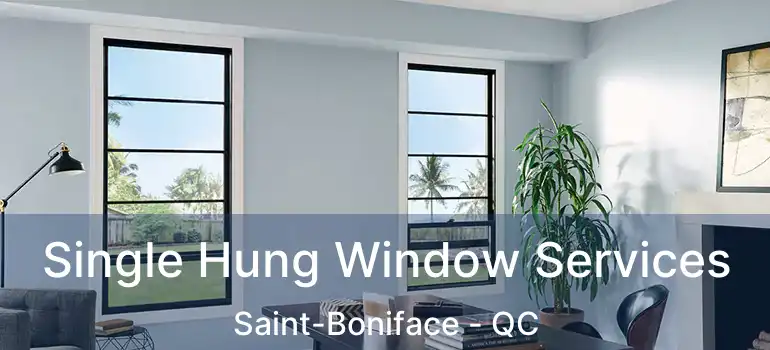  Single Hung Window Services Saint-Boniface - QC