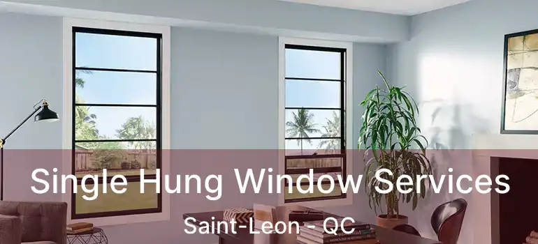  Single Hung Window Services Saint-Leon - QC