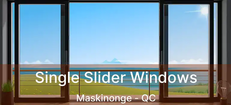  Single Slider Windows Maskinonge - QC