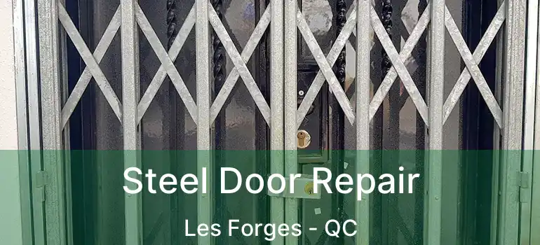  Steel Door Repair Les Forges - QC