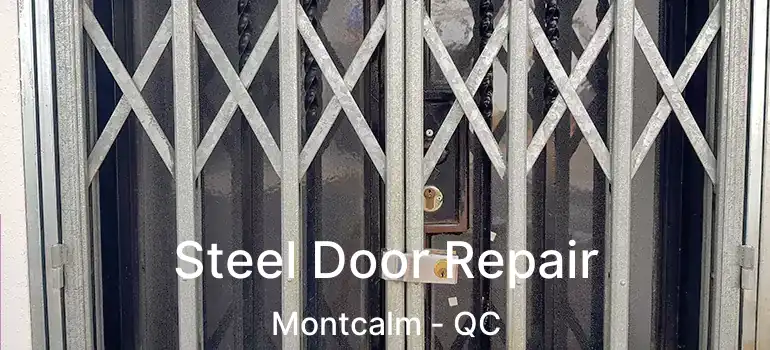  Steel Door Repair Montcalm - QC