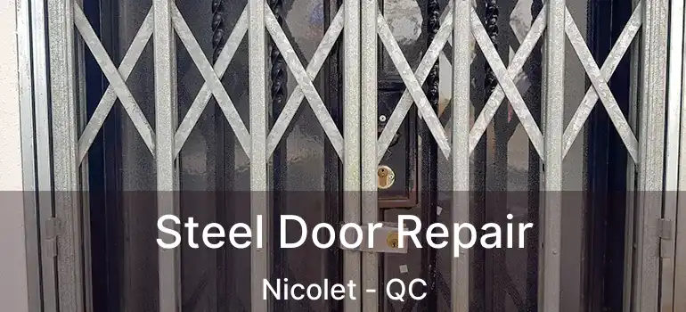  Steel Door Repair Nicolet - QC